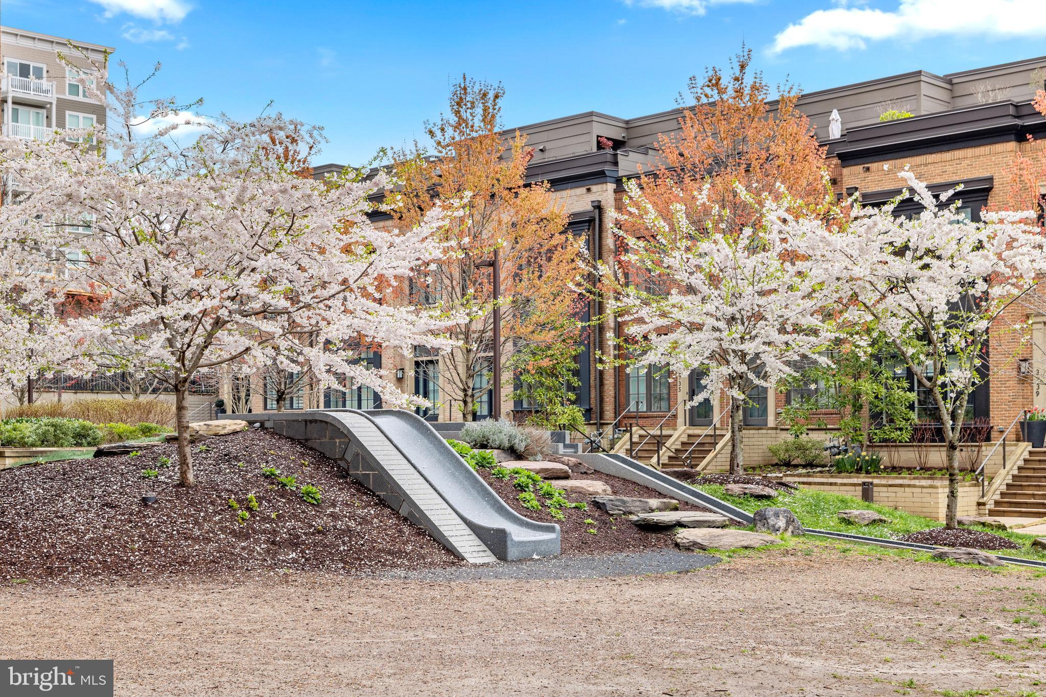 CHEVY CHASE - Residential