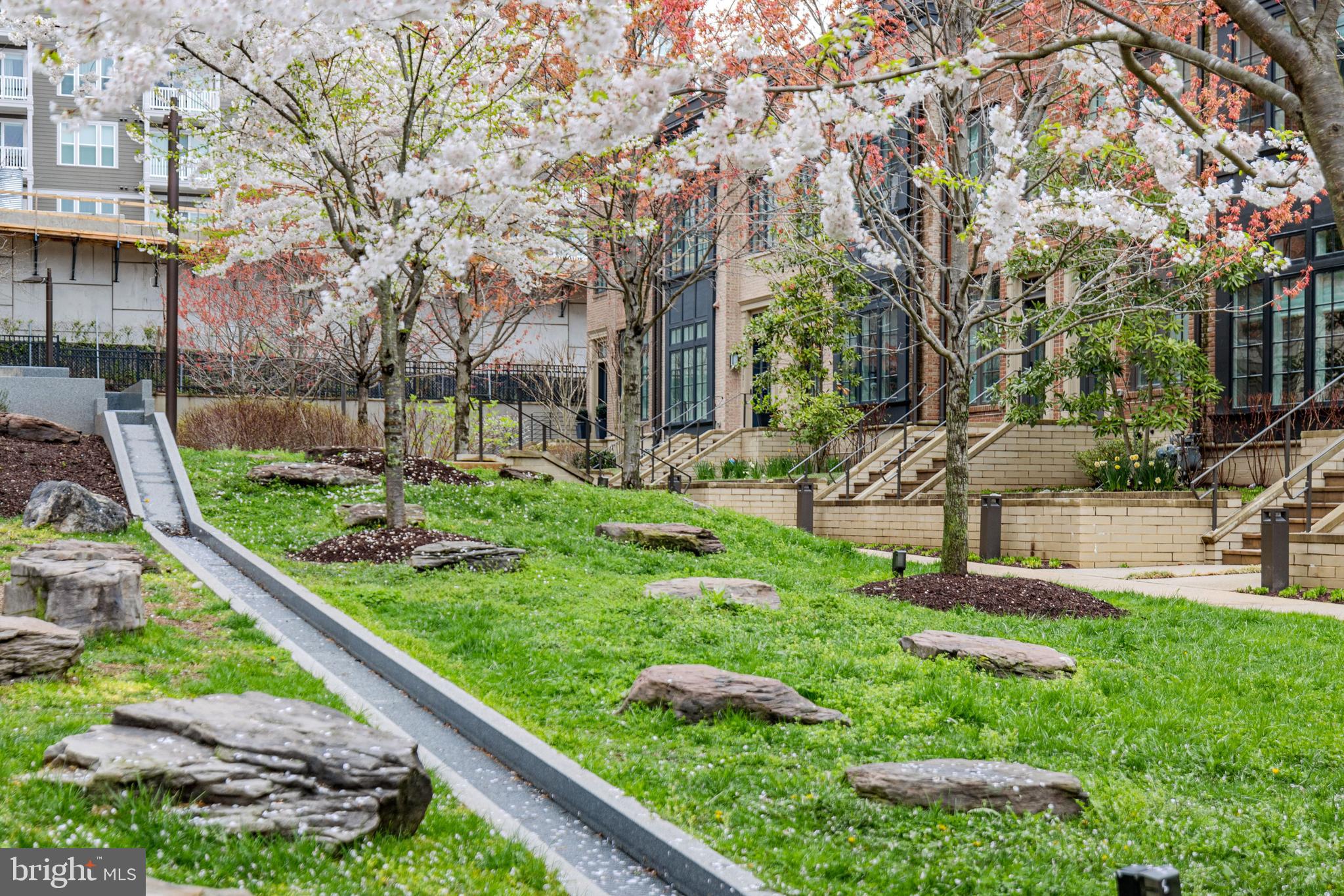 CHEVY CHASE - Residential