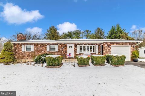 5313 POMMEL DRIVE MOUNT AIRY MD 21771