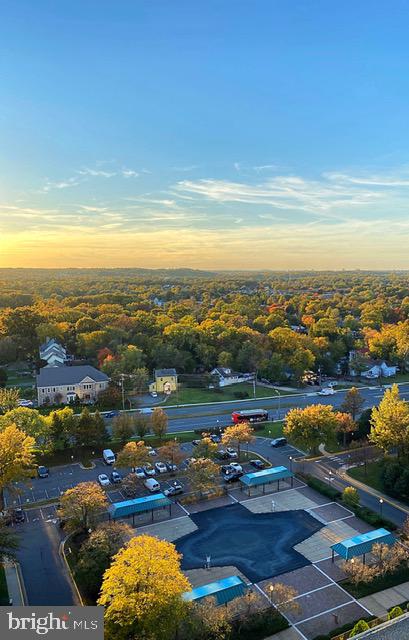 5501 SEMINARY ROAD 1703S