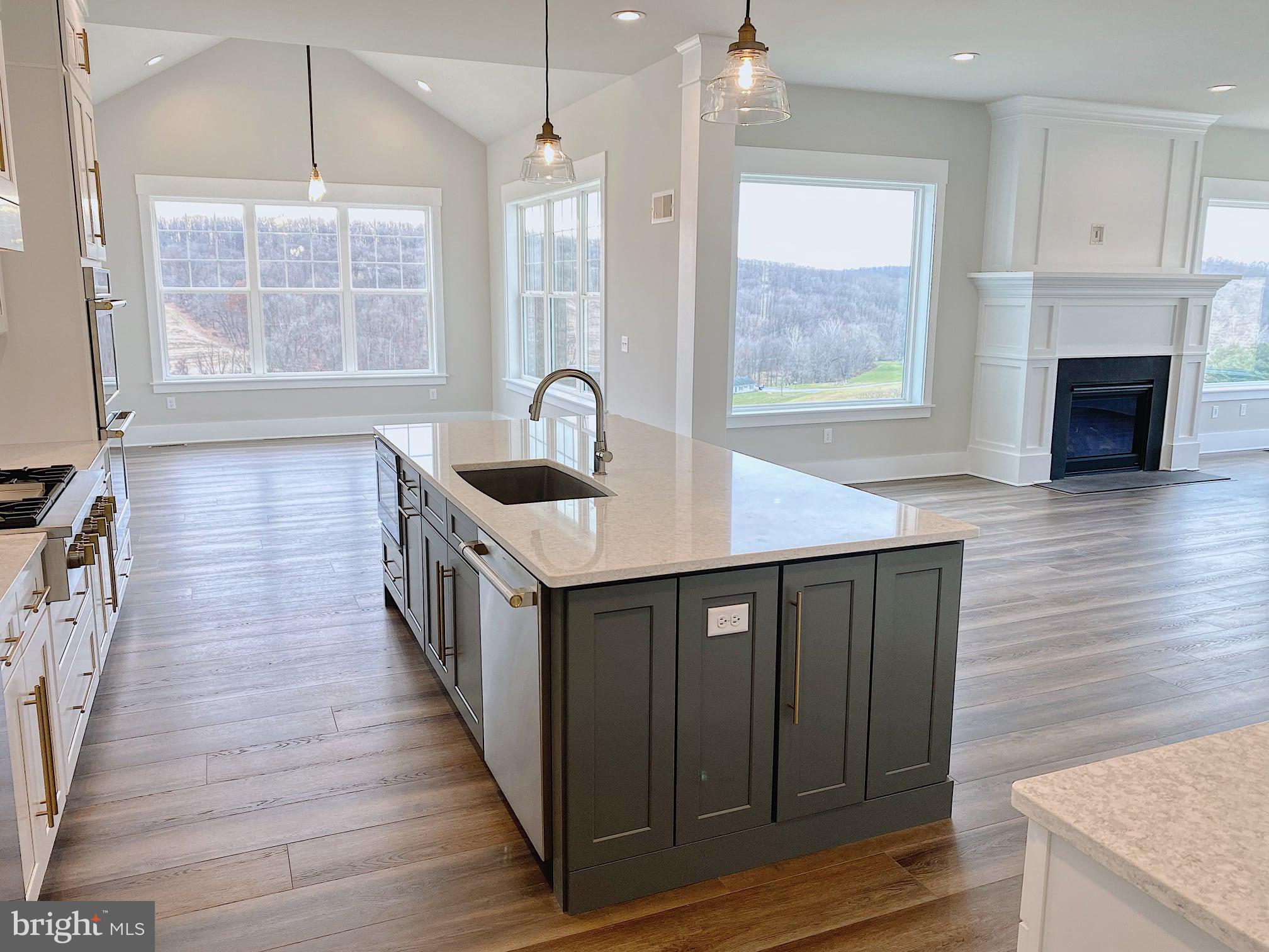 SPRINGFIELD TWP - Residential