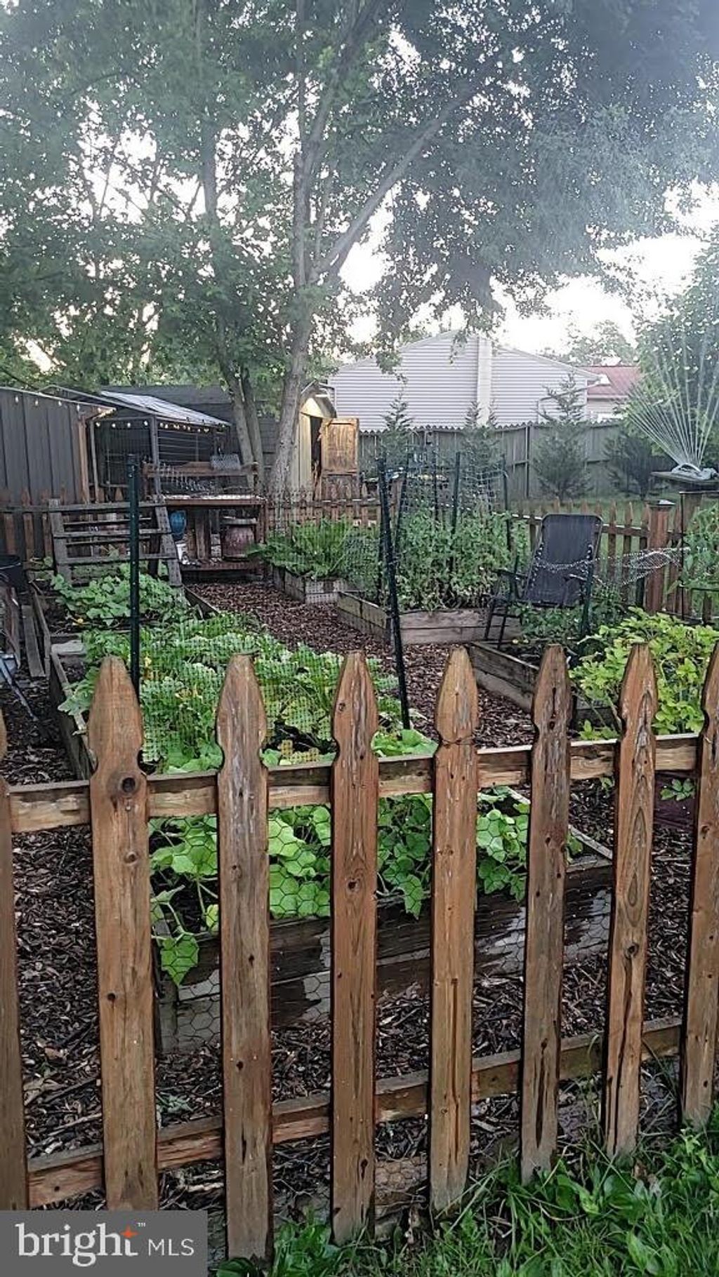 listing image 54
