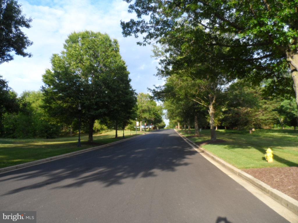 THE VILLAGES OF STEEPLEC - Residential Lease