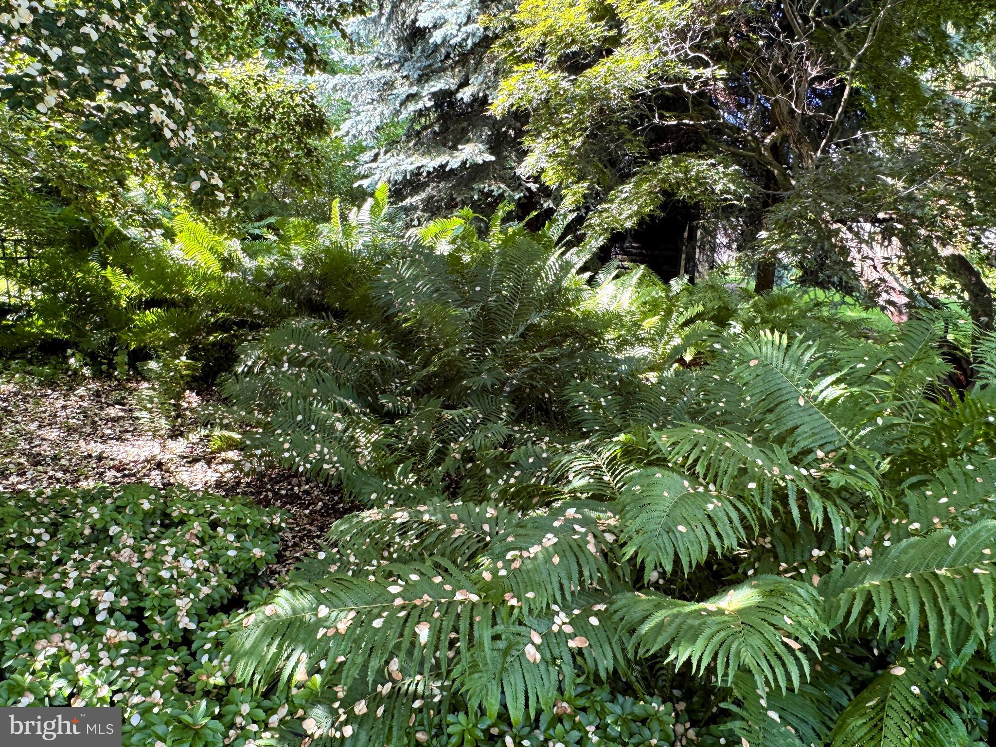 COLLEGE HEIGHTS - Residential