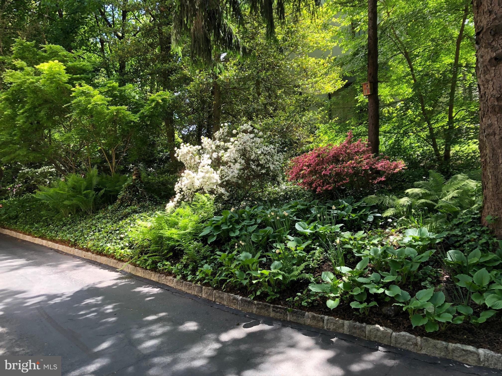 ARDMORE - Residential