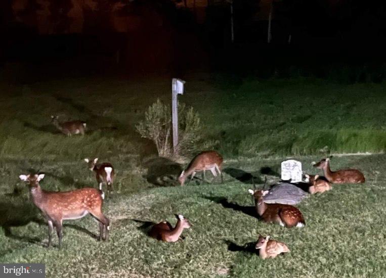 SOUTH DORCHESTER - Residential