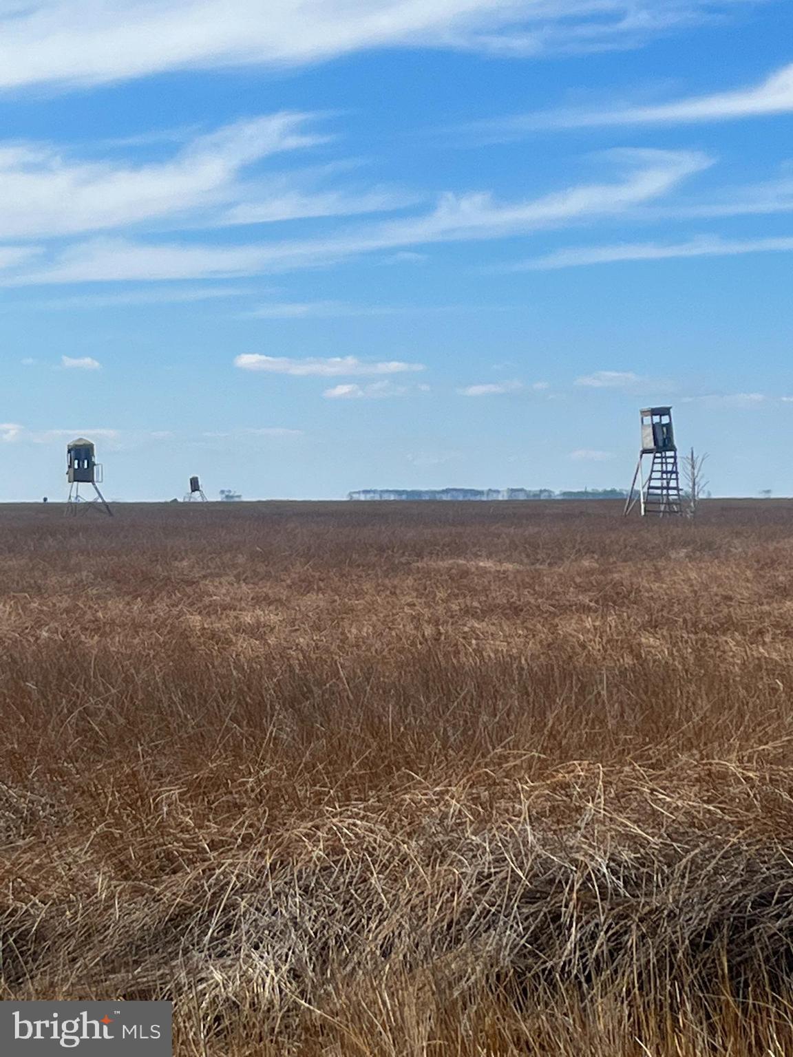 SOUTH DORCHESTER - Residential