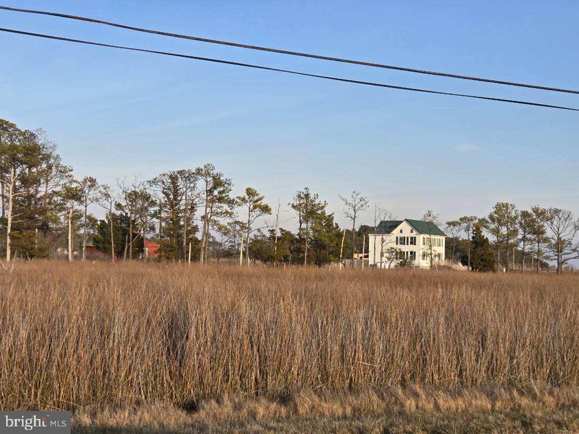 SOUTH DORCHESTER - Residential