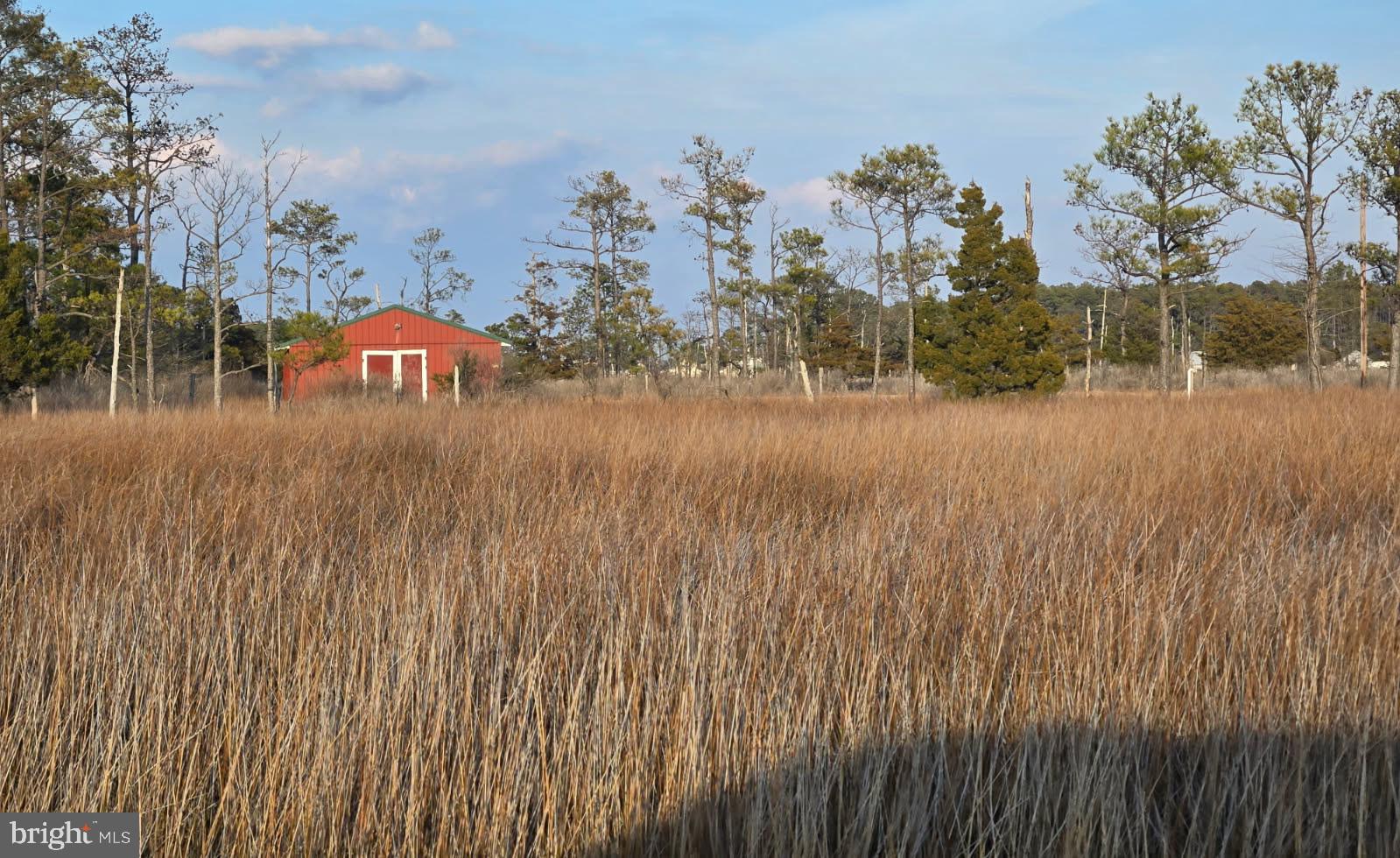 SOUTH DORCHESTER - Residential