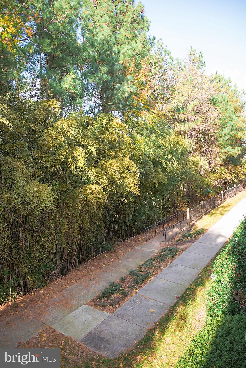 STONEY RUN VILLAGE - Residential