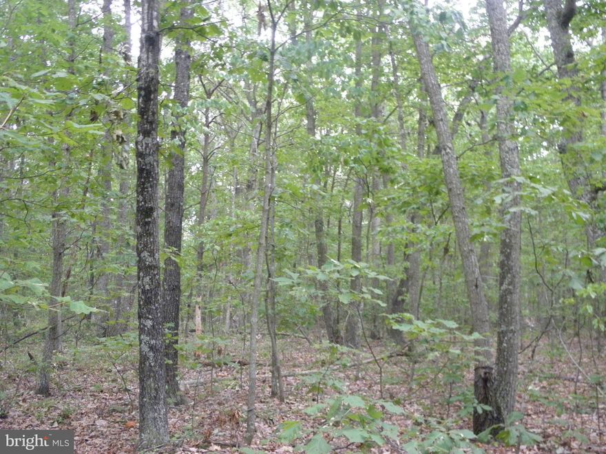 Location is key, lot fronts rte 211 , wooded acreage priced to sell for 3.35 acres in rural culpeper county.