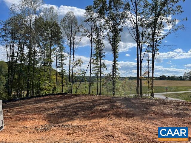 BYRD MILL RUN - Residential