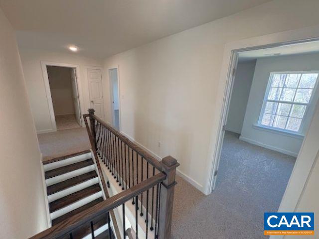 BYRD MILL RUN - Residential