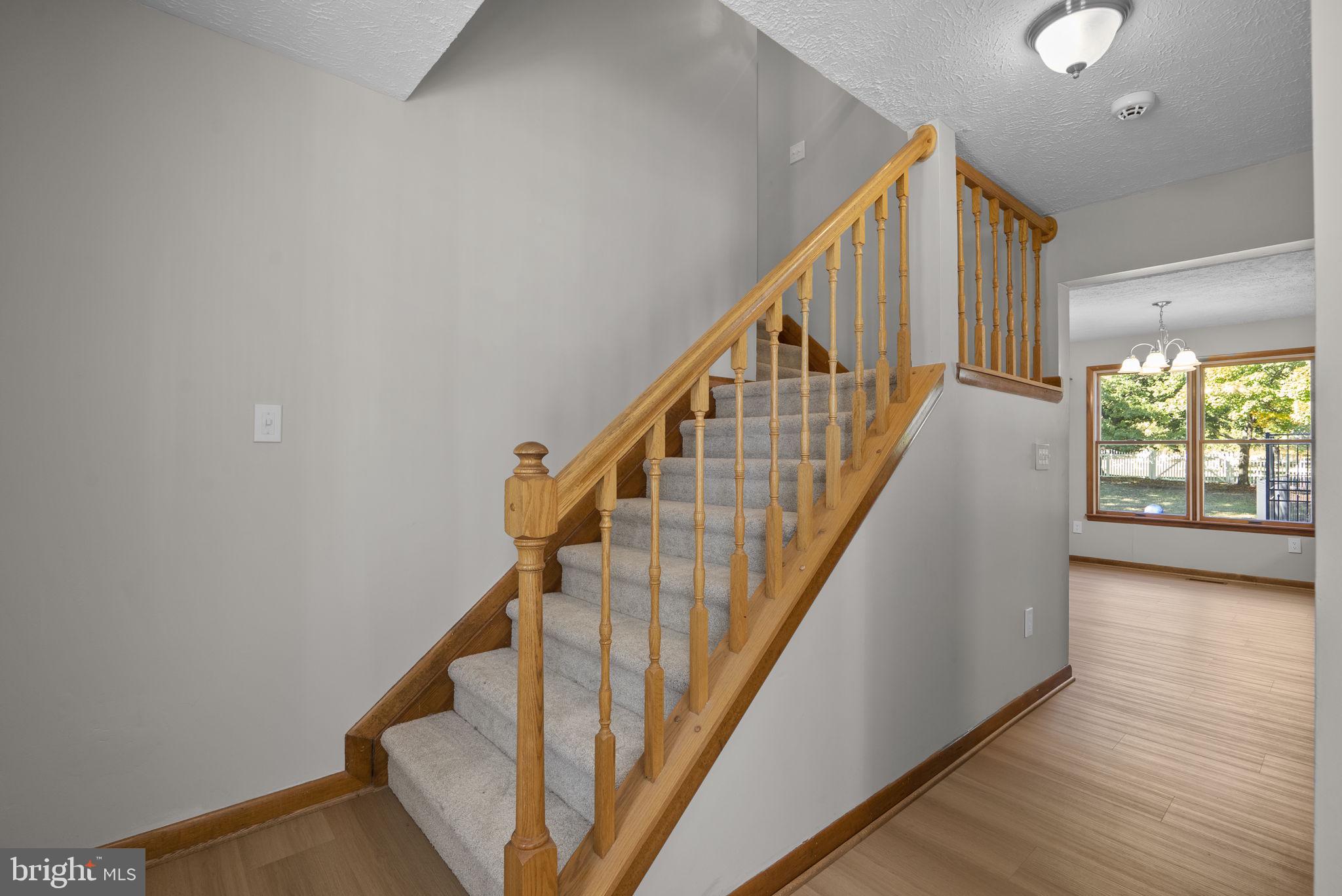 7904 RED GLOBE COURT