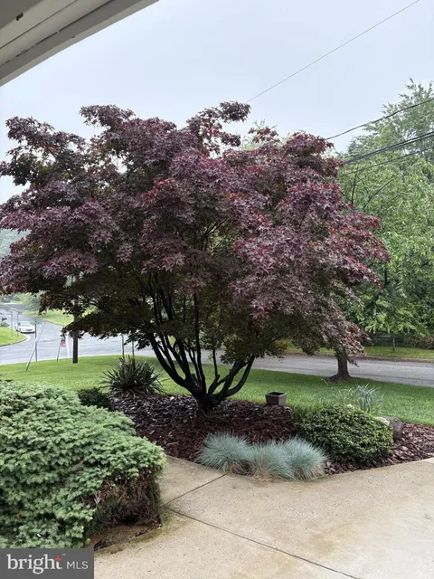 6901 Niles Drive, Laurel, MD MLS: MDPG2147564
