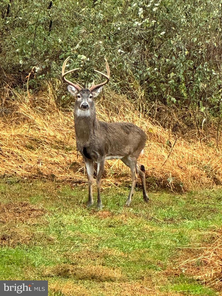 WENDOVER - Residential