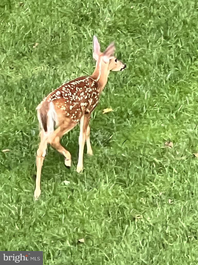 WENDOVER - Residential