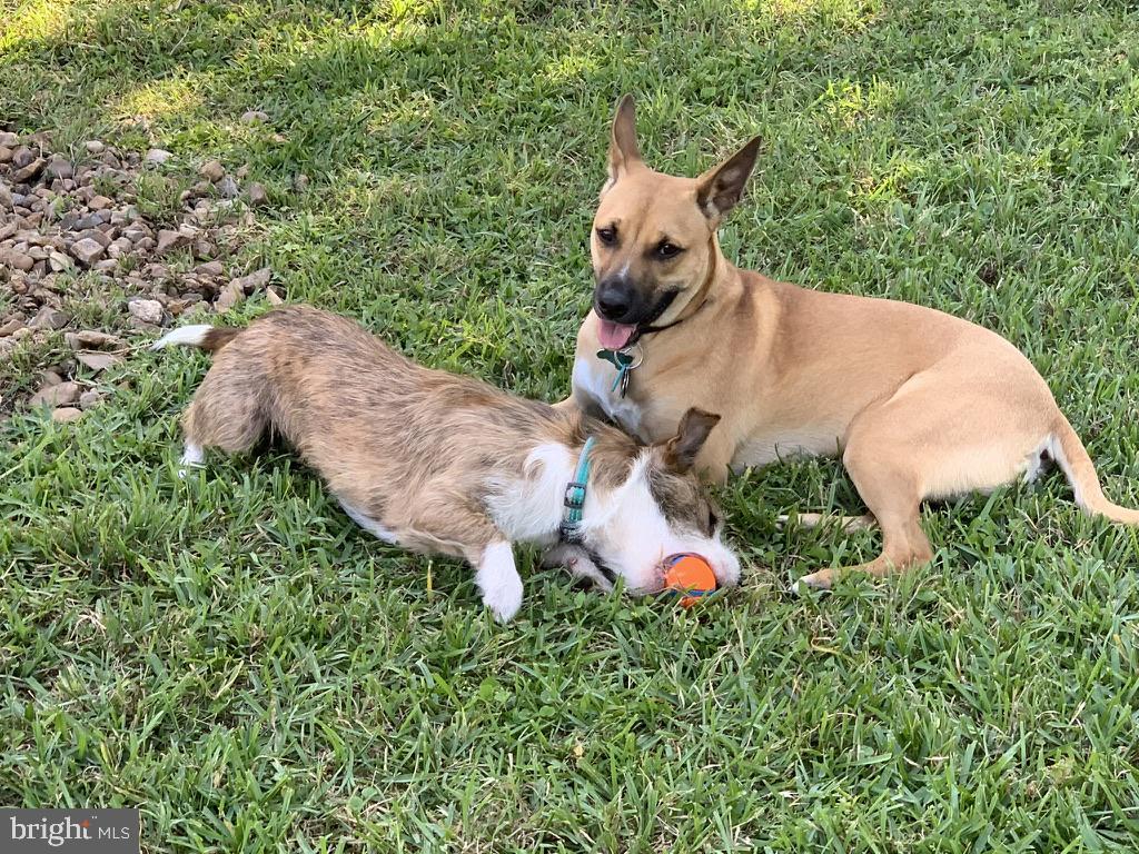 WENDOVER - Residential