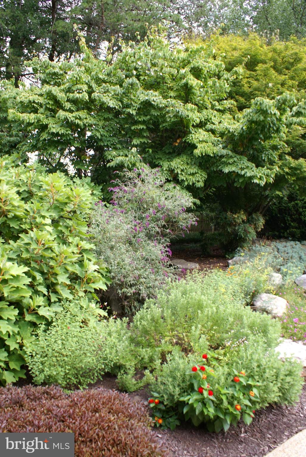 OAK HILL ESTATES - Residential