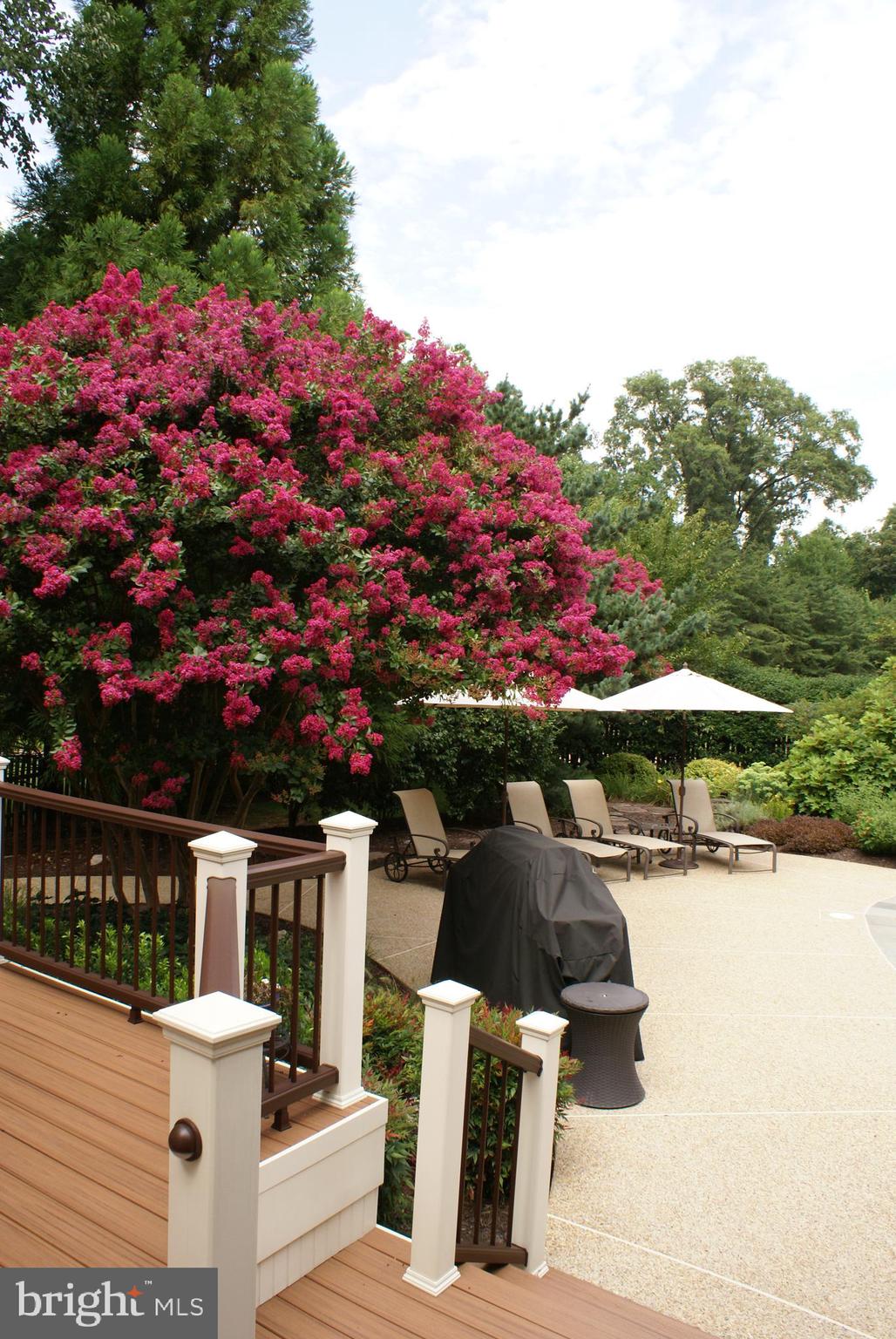 OAK HILL ESTATES - Residential