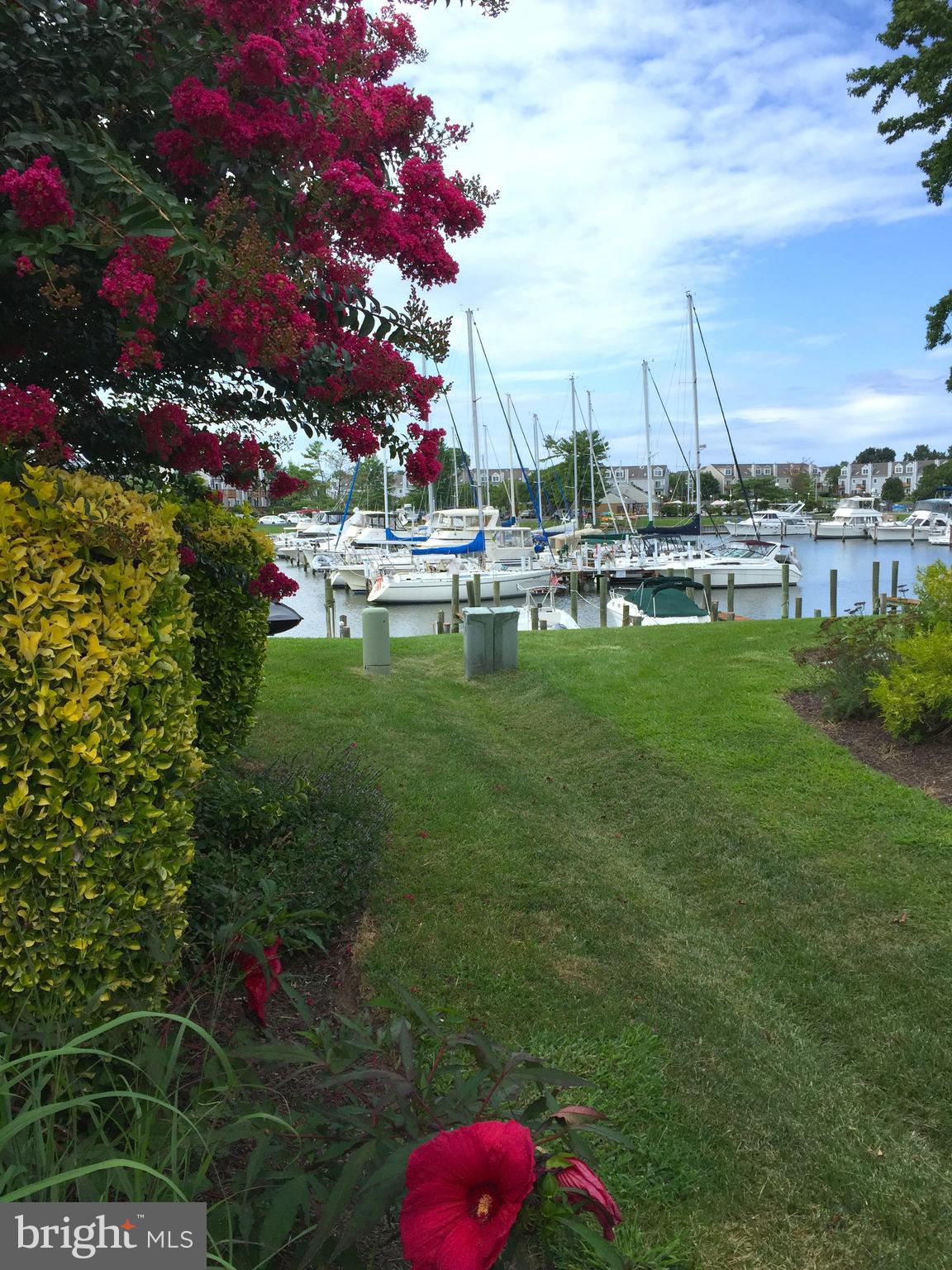 QUEENS LANDING - Residential Lease