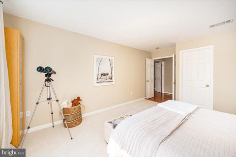 listing image 65