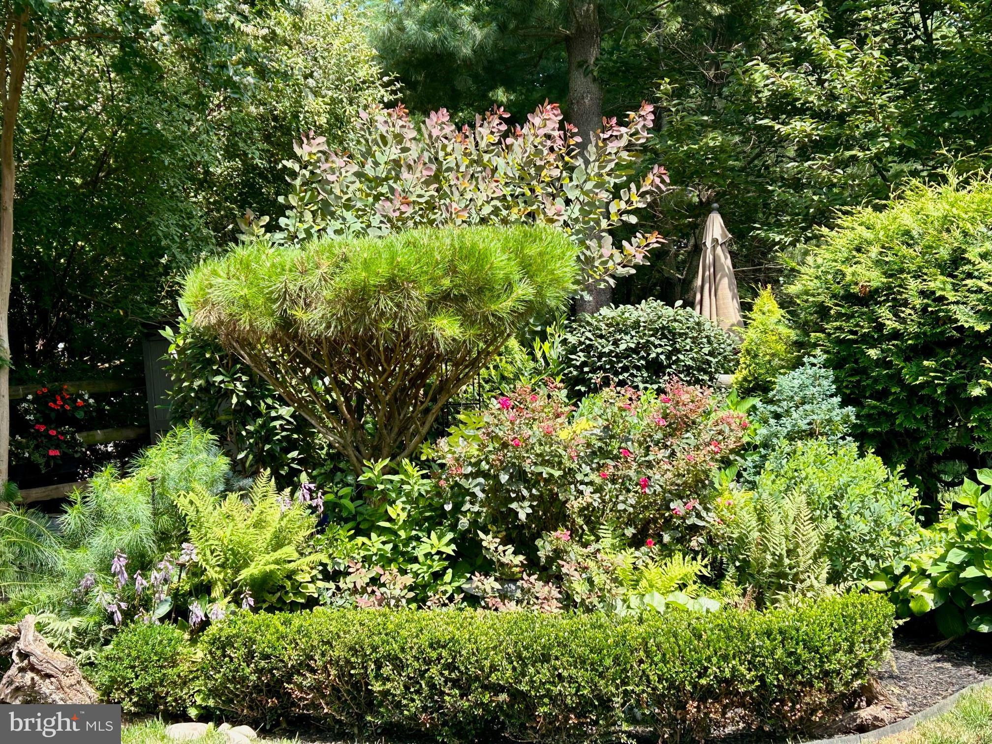 VILLAGE OF RIVER HILL - Residential