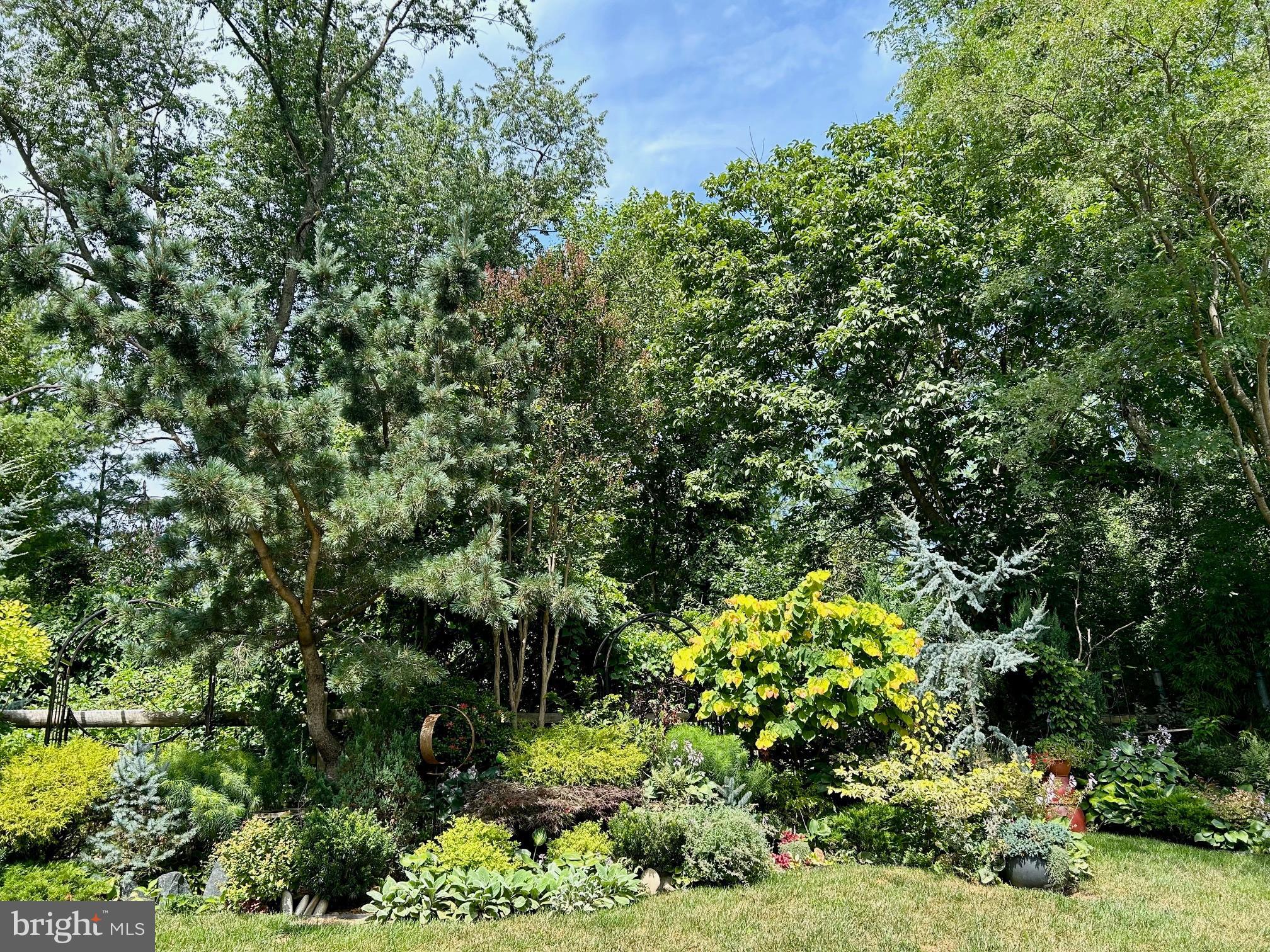 VILLAGE OF RIVER HILL - Residential