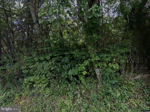 Photo for 123 STATHAM ROAD
