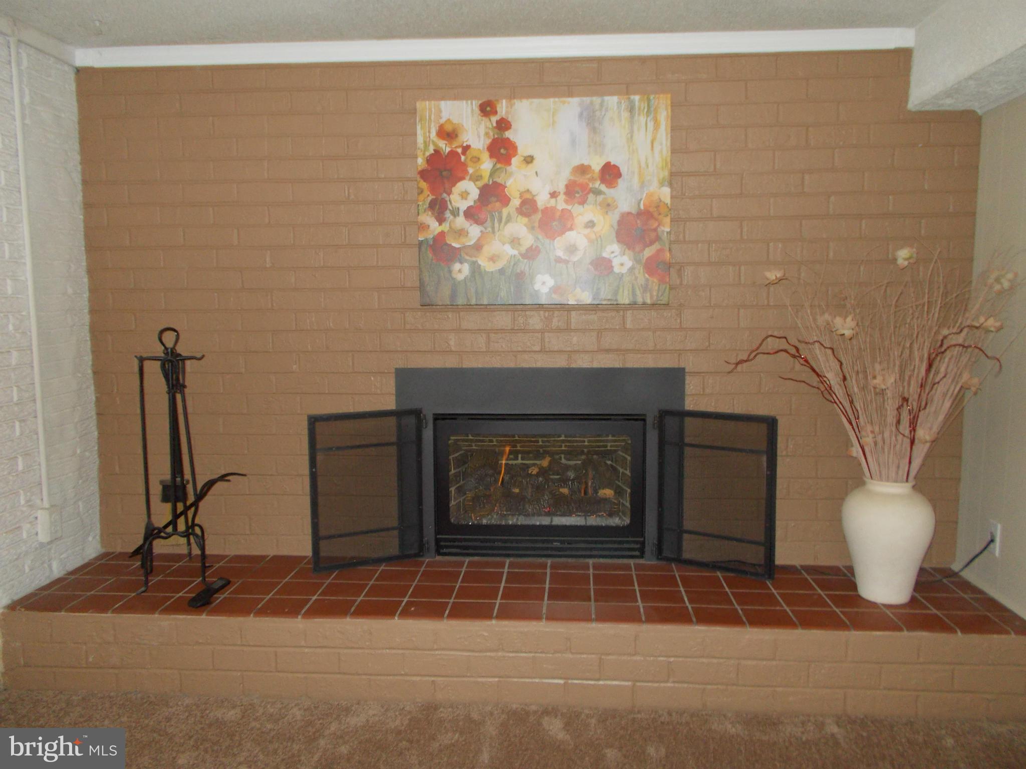 VILLAGE OF OLDE MILL - Residential