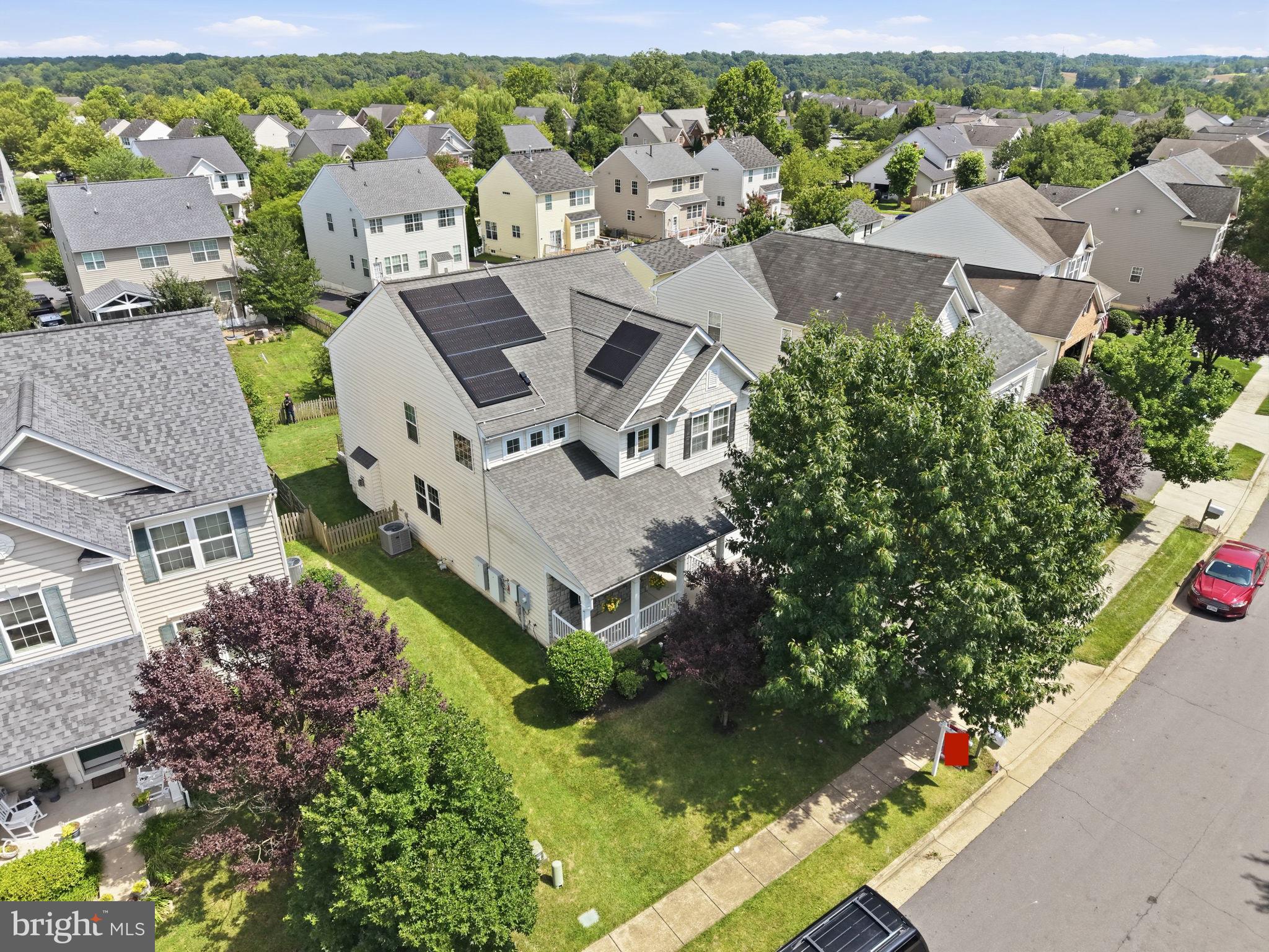 14246 LADDERBACKED DRIVE