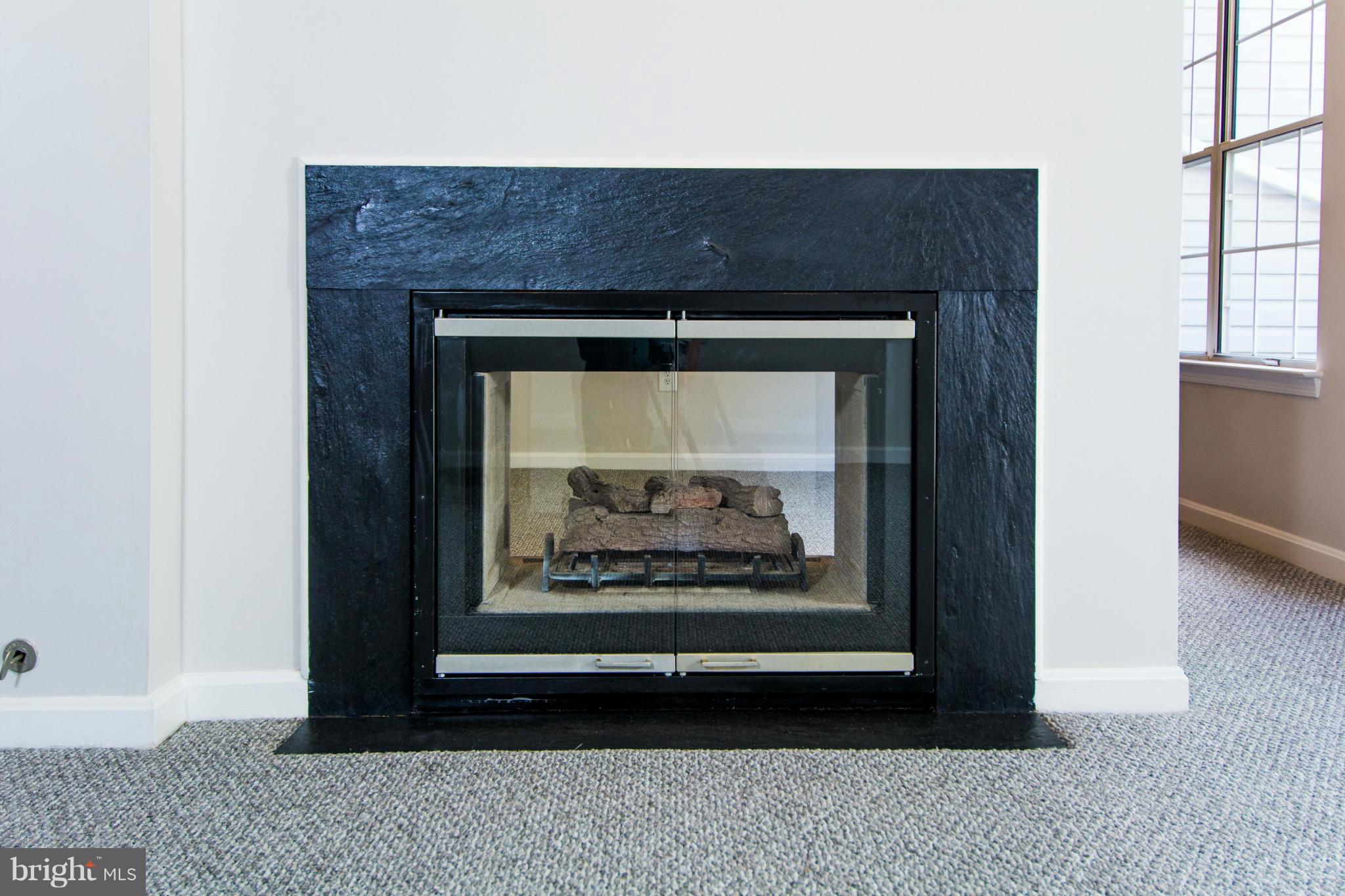 LIFESTYLE AT SULLY STATION - Residential