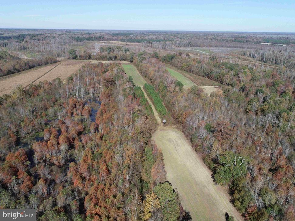 STATE RT. 125 (TRACT: CHERRY ISLAND)