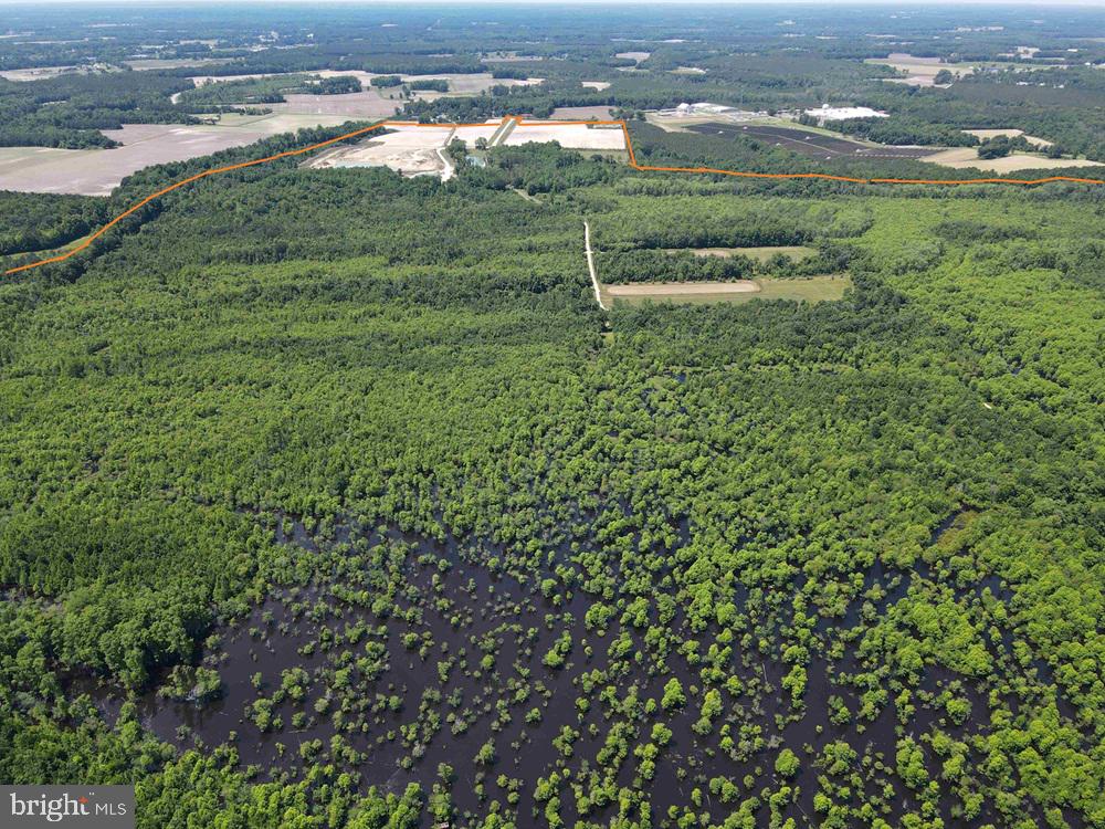 STATE RT. 125 (TRACT: CHERRY ISLAND)