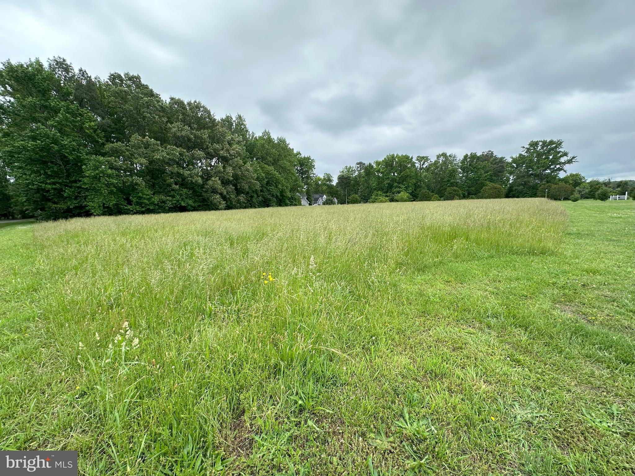 LOT 3 POTOMAC DRIVE