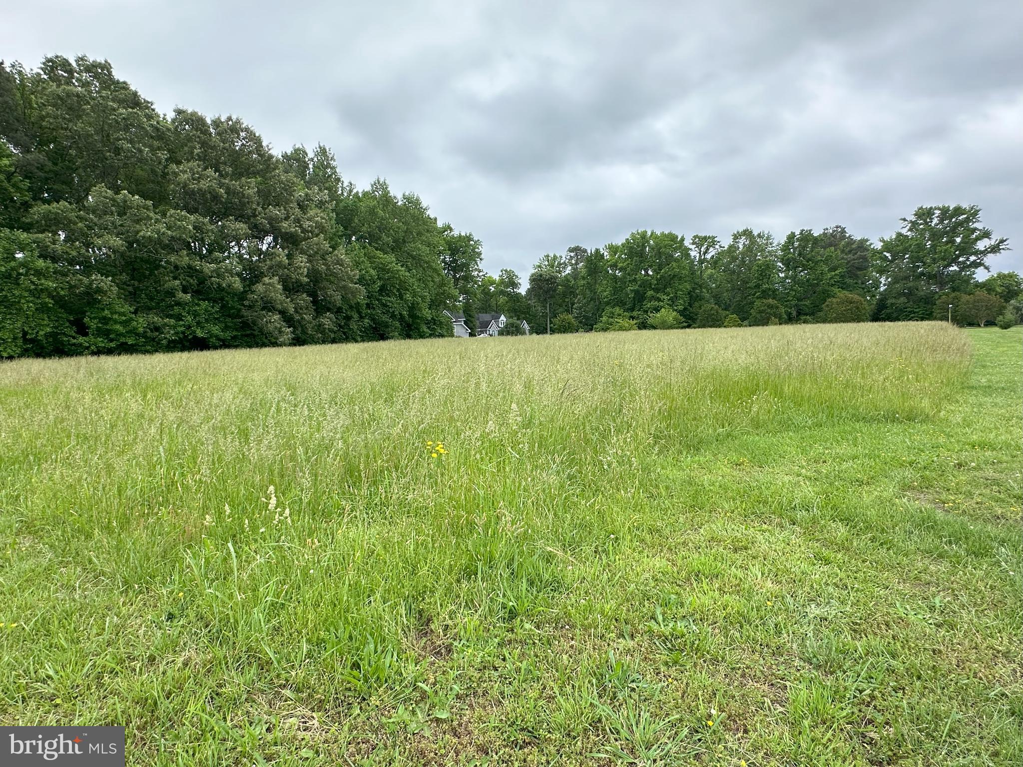 LOT 3 POTOMAC DRIVE