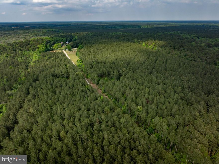 Expansive 44.7-acre parcel is ready for you to bring your plans!  The parcel is wooded with a few small cleared areas.  Perc has not been received yet, but preliminary site review is promising.  This is accessed via Slim Chance Ln, which is a private road, so please do not view property without an appointment.  Great location just 8 miles from historic Snow Hill and not far from Berlin, Ocean City and Assateague Island!