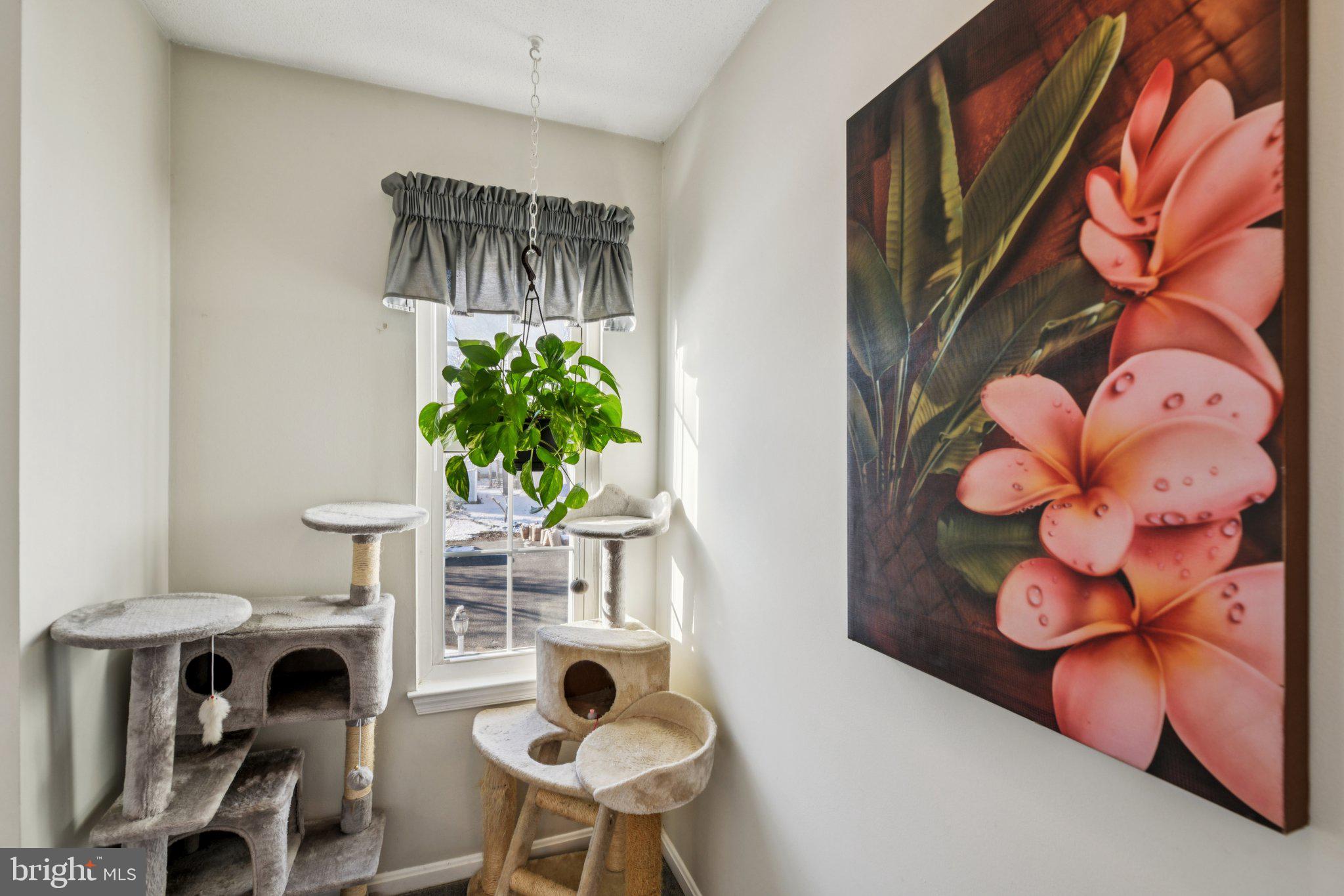 ST CHARLES DORCHESTER - Residential