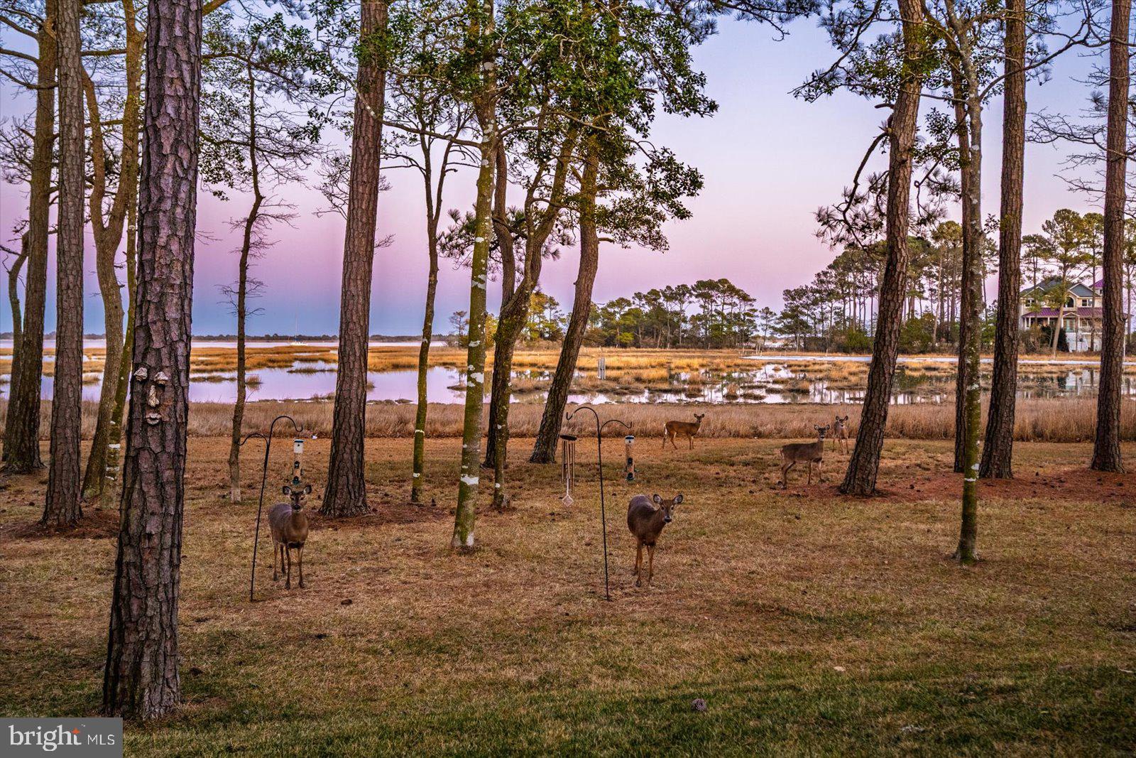 OCEAN REEF - Residential