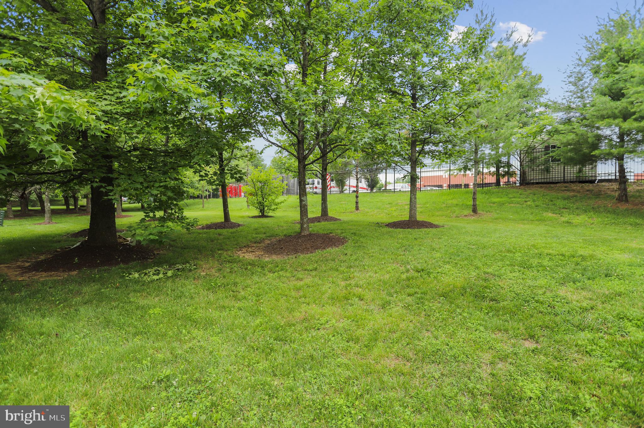 BELLEHAVEN ESTATES - Residential