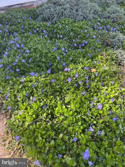 LAKE BRADDOCK - Residential