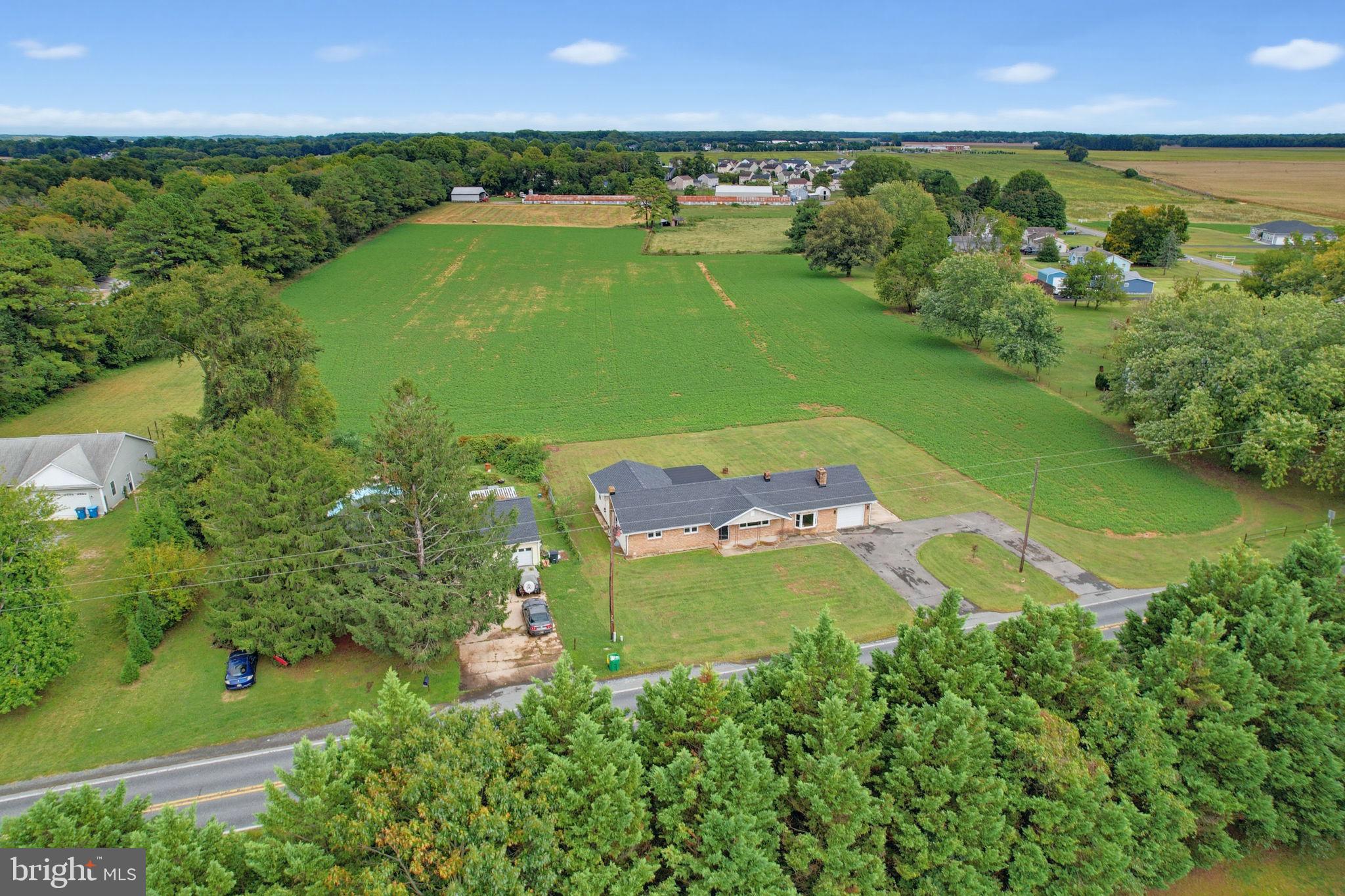 3116 WALNUT SHADE ROAD