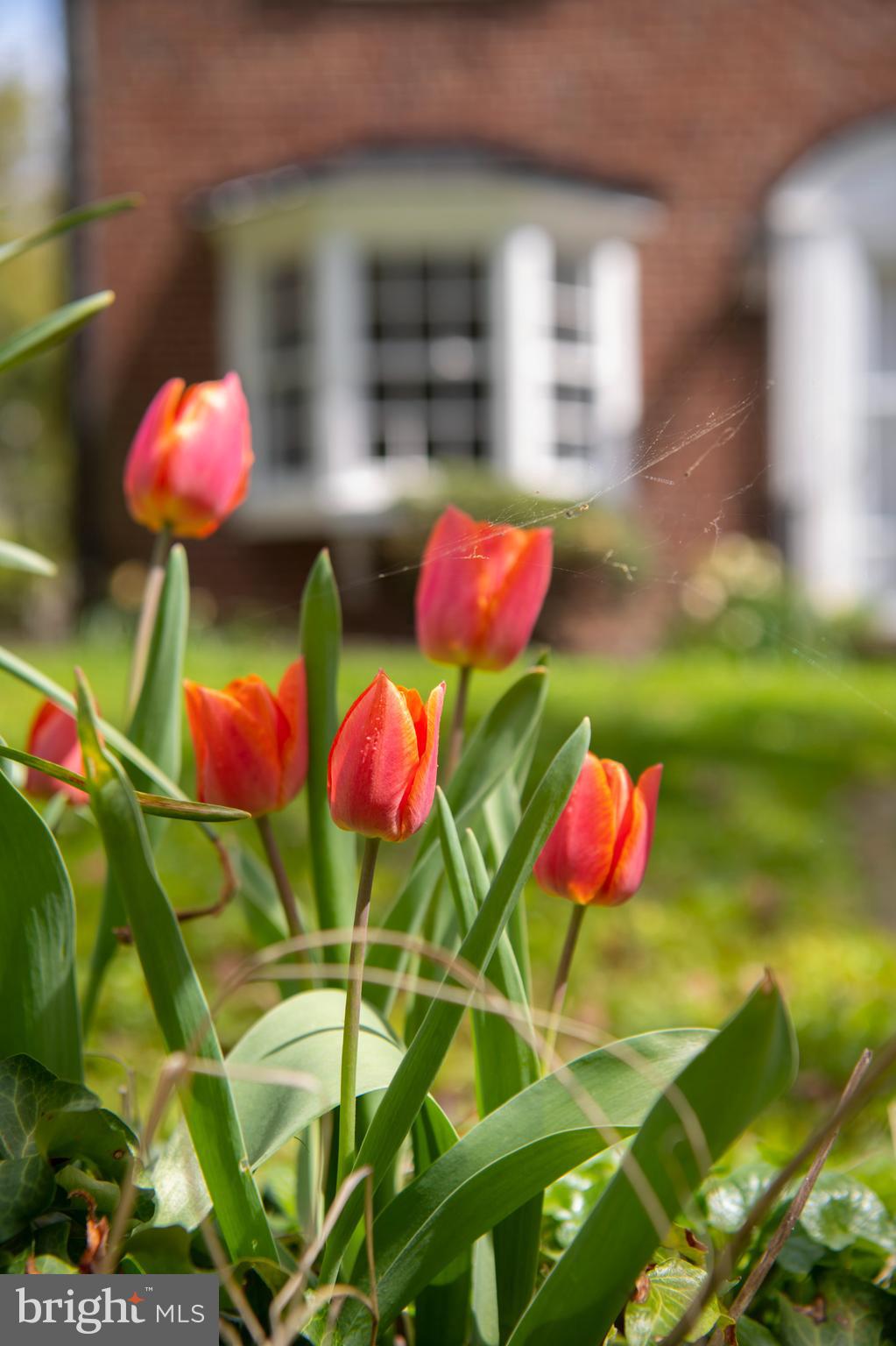 HOMELAND HISTORIC DISTRICT - Residential