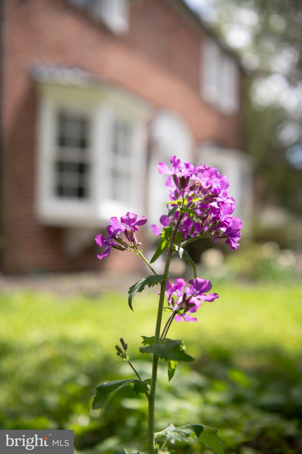 HOMELAND HISTORIC DISTRICT - Residential