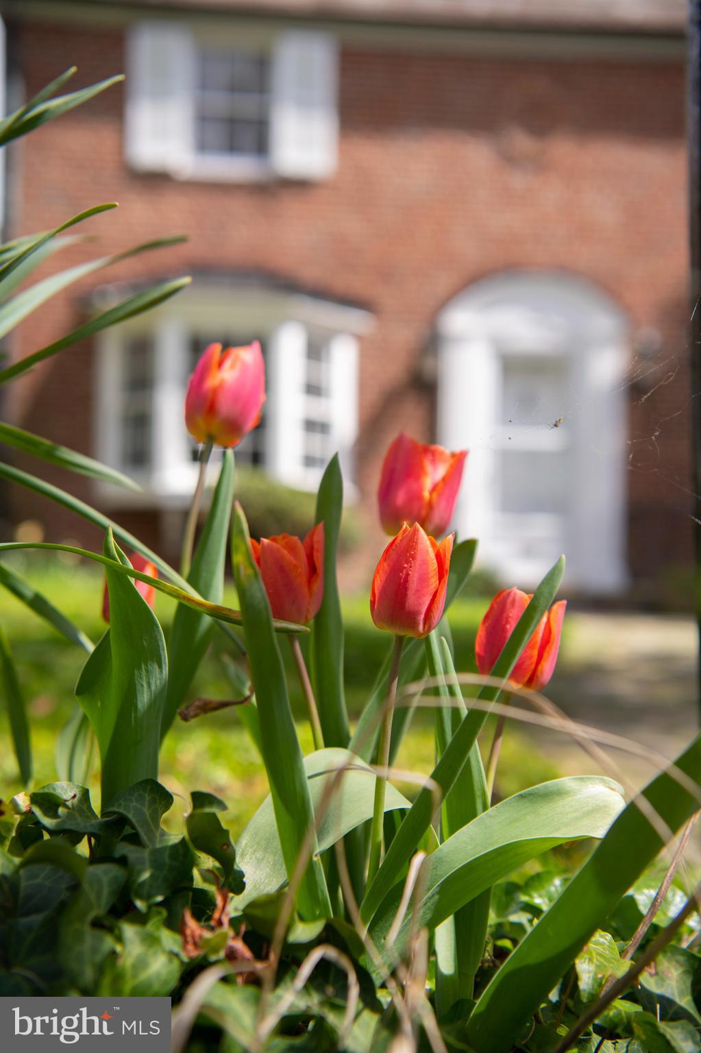 HOMELAND HISTORIC DISTRICT - Residential