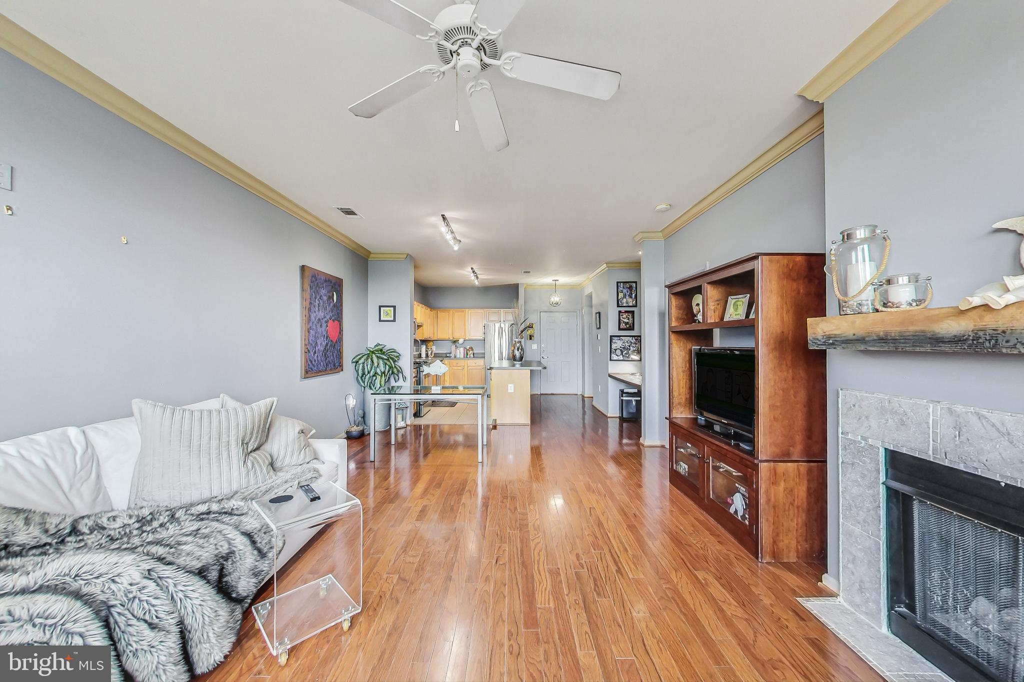 SAVOY AT RESTON TOWN CENTER - Residential