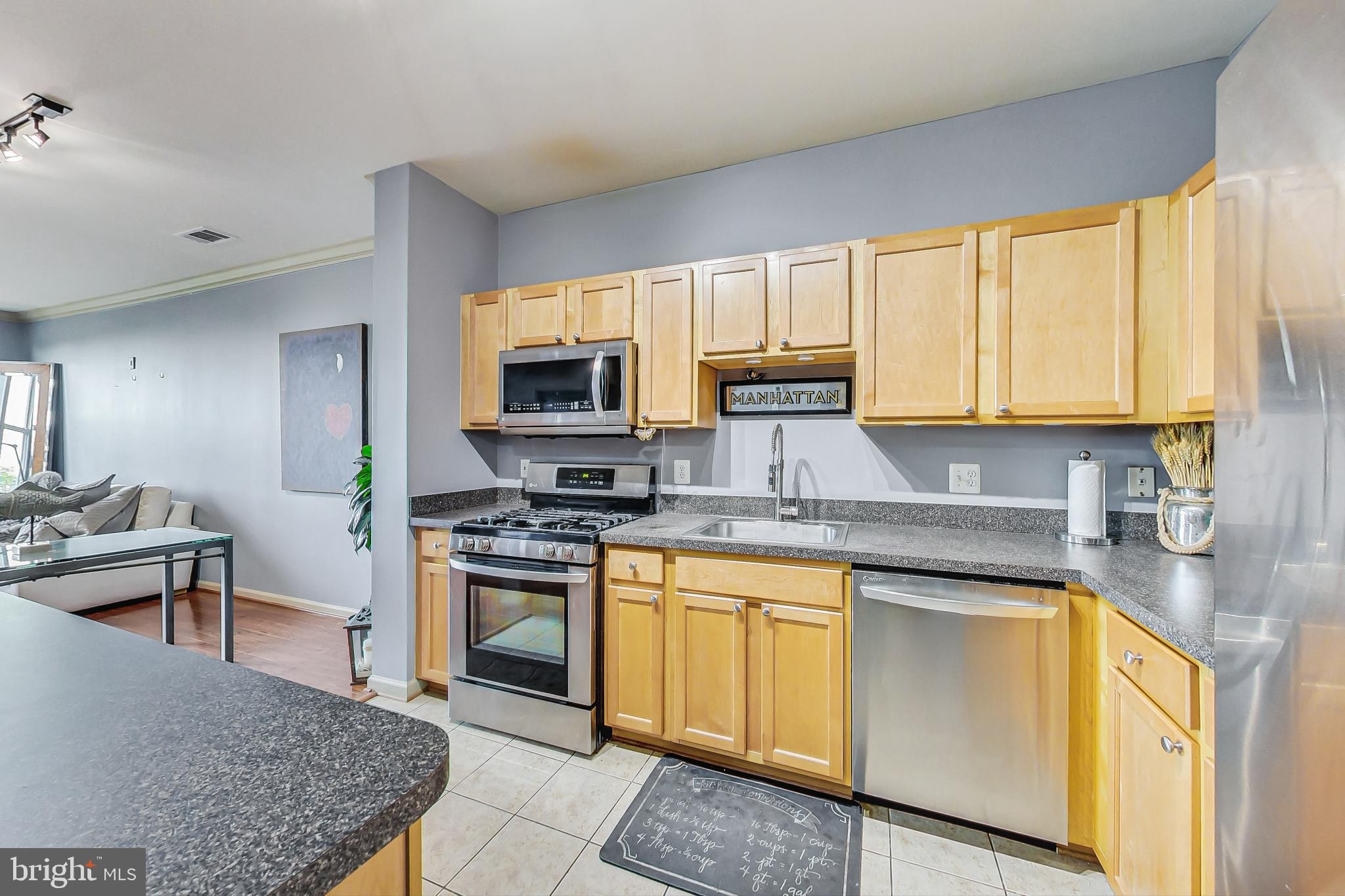 SAVOY AT RESTON TOWN CENTER - Residential