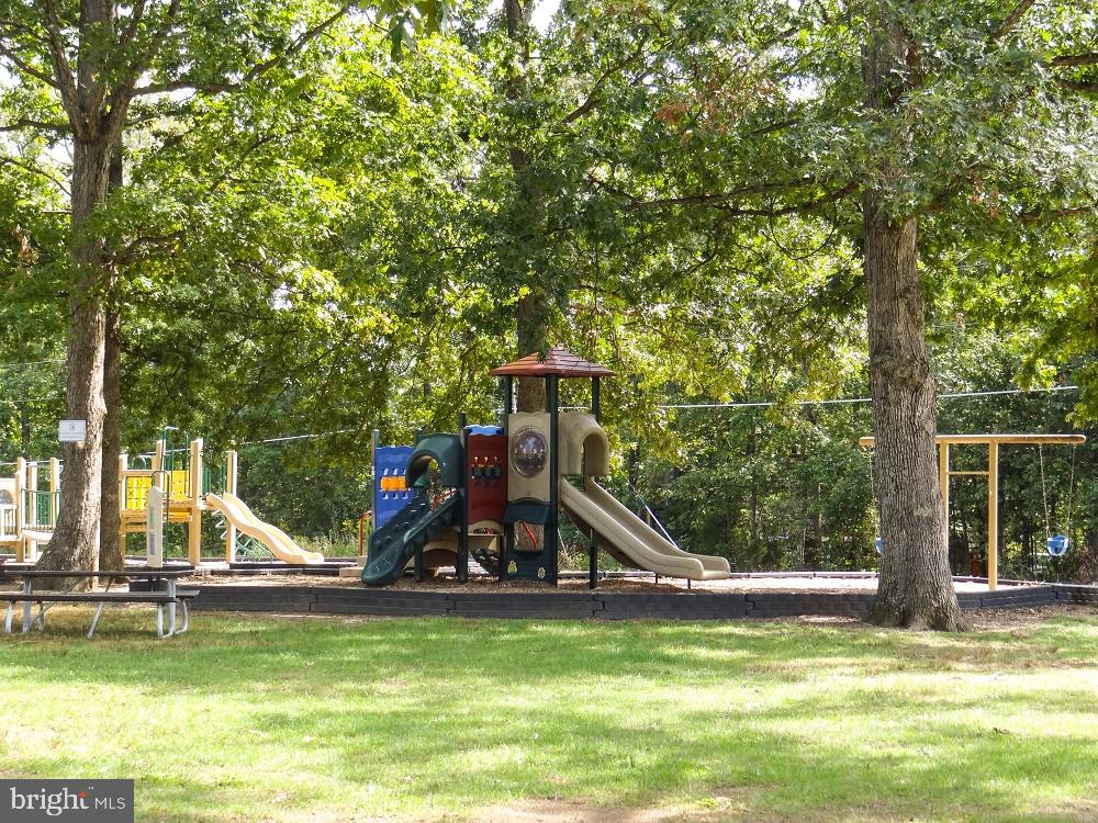 LAKE OF THE WOODS - Land