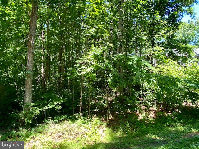 LAKE OF THE WOODS - Land