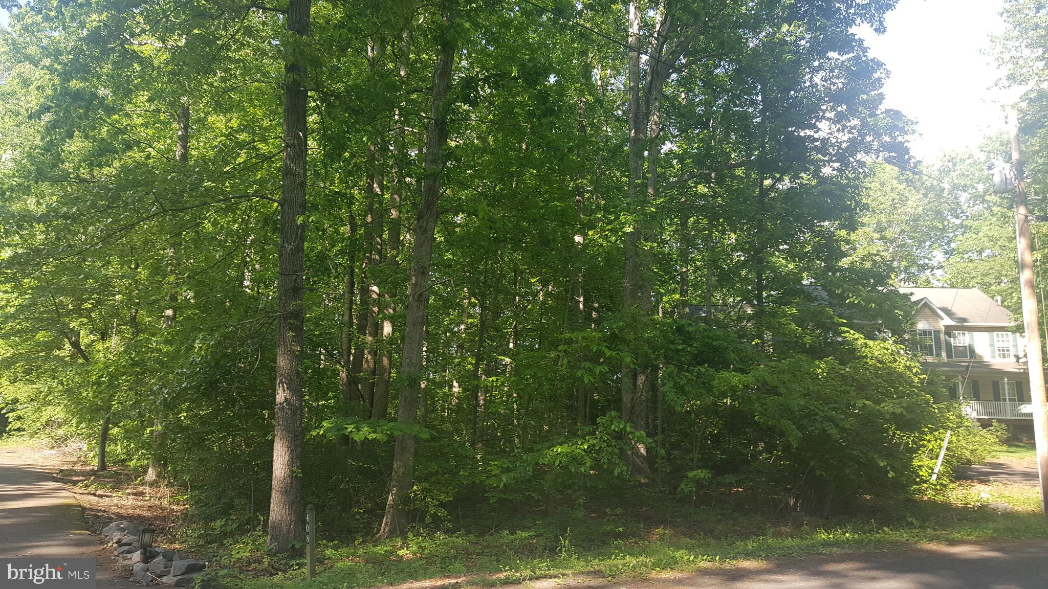 LAKE OF THE WOODS - Land